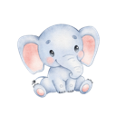 Daxiang China VPN, 象群国内翻墙机场